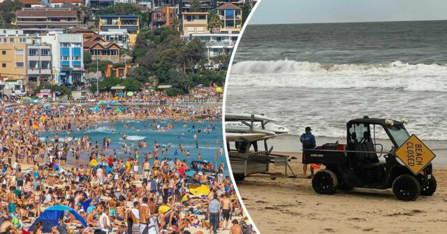 Praias devem reabrir a tempo para fim de semana prolongado após ataques de tubarão
