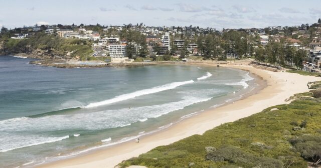 Prancha de surf de menino mordida por tubarão em Sydney um dia depois de adolescente ser atacado
