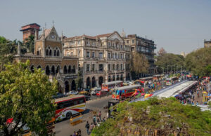 Predador selvagem aterroriza bairro com ataque chocante: ‘Quando nossa equipe chegou, o animal havia desaparecido’ Yahoo news home