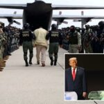 Presidente do México diz que foi “decisão soberana” enviar membros do cartel para os EUA