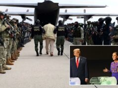 Presidente do México diz que foi “decisão soberana” enviar membros do cartel para os EUA Presidente do México diz que foi “decisão soberana” enviar membros do cartel para os EUA