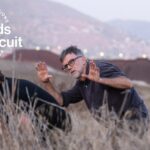 Previsões para os prêmios BAFTA e WGA: 'Uma batalha após a outra' terá sua própria manhã recorde de 16 indicações?