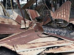 Primeiro-ministro vitoriano questionou ao anunciar mais US$ 15 milhões em apoio após incêndios Jacinta Allan anunciou que o pacote de ajuda ajudará os vitorianos a iniciar o processo de reconstrução após os incêndios devastadores.