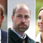 Príncipe Harry admite em tablóides que hackeamento experimental de telefone o deixa cauteloso em trazer Meghan para o Reino Unido 256