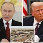 Putin foi convidado a se juntar ao 'Conselho de Paz' de Trump em Gaza, afirma Kremlin