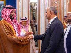 Quais são os planos da Arábia Saudita no sul do Iémen? Quais são os planos da Arábia Saudita no sul do Iémen?