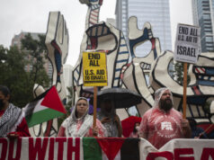 Quando punir os democratas se torna auto-sabotagem Desenho animado de Jack Ohman