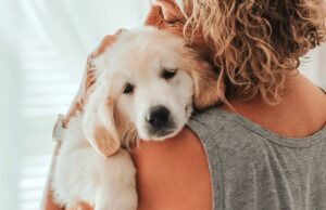 Querida Abby: Meu amado cachorro morreu – mas meu marido não entende minha dor Um casal inter-racial sentado em um sofá, tendo uma discussão acalorada.