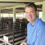 Rebanho de ovelhas reconstruído para restringir a oferta de cordeiros, apoiando os preços em 2026