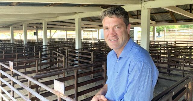 Rebanho de ovelhas reconstruído para restringir a oferta de cordeiros, apoiando os preços em 2026
