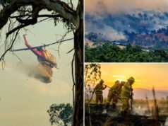 Restos humanos encontrados durante os violentos incêndios florestais na Austrália Restos humanos encontrados durante os violentos incêndios florestais na Austrália