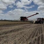 Revendedores do Farmers Center medem a temperatura: 'vimos bons resultados'