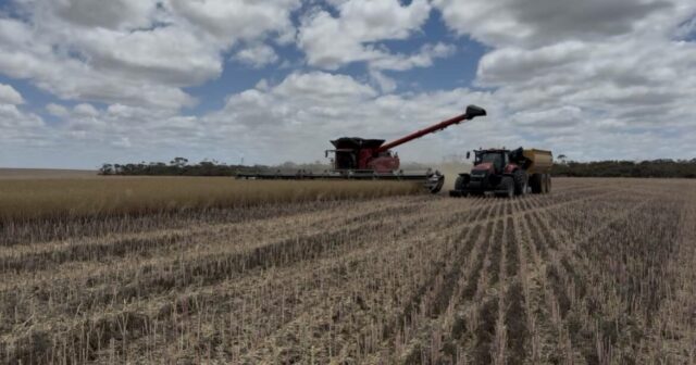 Revendedores do Farmers Center medem a temperatura: 'vimos bons resultados'
