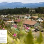 Flores cor de rosa emoldurando a arquitetura histórica da era da corrida do ouro no centro de Truckee, Califórnia, com montanhas e pinheiros ao fundo.