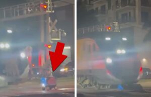 Robô de entrega é destruído por trem de passageiros: vídeo 011626_delivery_robot_train_kal