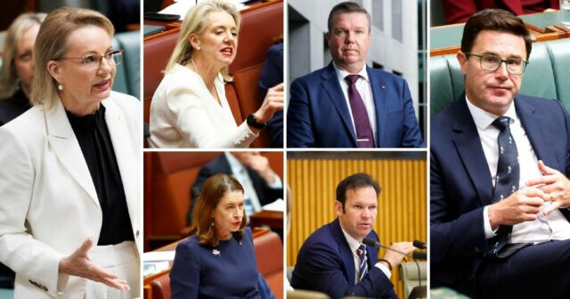 Ruptura: todos os líderes do partido nacional renunciam a cargos no gabinete paralelo
