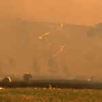 Victoria dispara, Alexandra