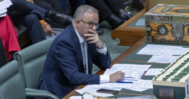 Sem etiqueta de preço, sem unidade, questões compostas: os grandes problemas de recompra de armas de Albo
