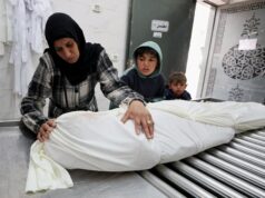 Será o “Conselho de Paz” de Trump um esforço para restringir as potências médias da Europa? Será o “Conselho de Paz” de Trump um esforço para restringir as potências médias da Europa?