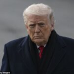 Donald Trump chocou os aliados da OTAN ao alertar que os oponentes de uma tomada americana do território dinamarquês serão atingidos por tarifas punitivas a partir de 1 de fevereiro.