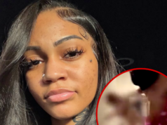 Streamer Aspen Kartier é preso e acusado de crueldade contra animais insta principal do cachorro aspen kartier