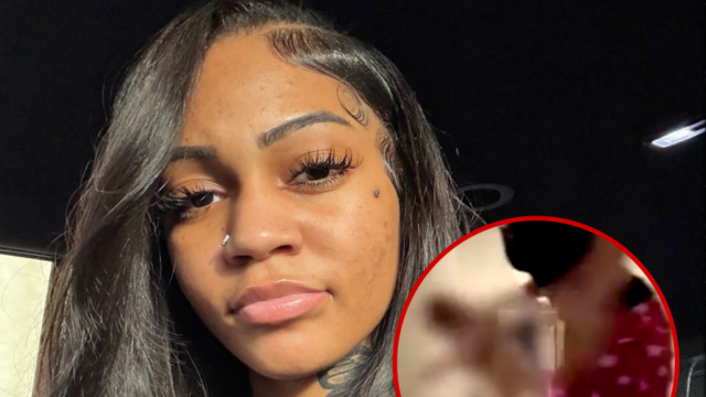 insta principal do cachorro aspen kartier