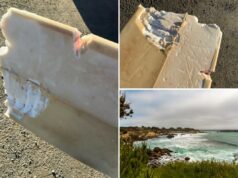 Surfista da Califórnia mordido por tubarão no primeiro ataque do estado em 2026: ‘Como ser atropelado por um carro’ Surfista da Califórnia mordido por tubarão no primeiro ataque do estado em 2026: ‘Como ser atropelado por um carro’