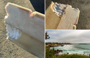 Surfista da Califórnia mordido por tubarão no primeiro ataque do estado em 2026: ‘Como ser atropelado por um carro’ Surfista da Califórnia mordido por tubarão no primeiro ataque do estado em 2026: ‘Como ser atropelado por um carro’