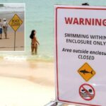 Um surfista sofreu ferimentos leves após uma mordida de tubarão na terça-feira, o quarto ataque relatado na costa do estado mais populoso da Austrália em três dias.