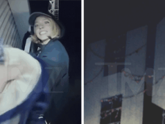 Sydney Sweeney sobe o letreiro de Hollywood com sutiãs em um movimento legalmente arriscado 012526_sydney_sweeney_kal_v5