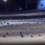 Dezenas de "rolos de neve," bolas de neve feitas naturalmente que podem crescer até o tamanho de um carro são cenas da captura de tela do vídeo filmado no bairro de Chili.