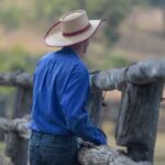 Tempestade em uma xícara de chá? Quanto a mudança tarifária da China realmente atingirá os portões da fazenda