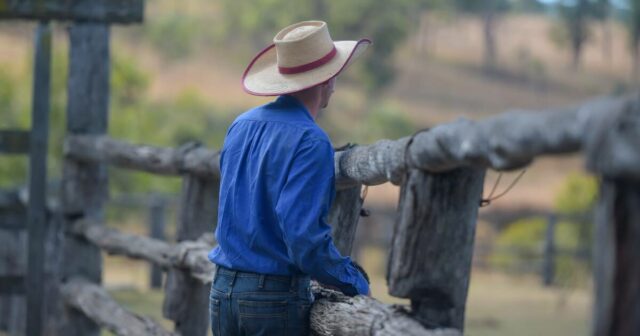 Tempestade em uma xícara de chá? Quanto a mudança tarifária da China realmente atingirá os portões da fazenda
