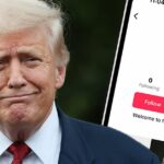 O presidente Donald Trump e a conta TikTok da Casa Branca.
