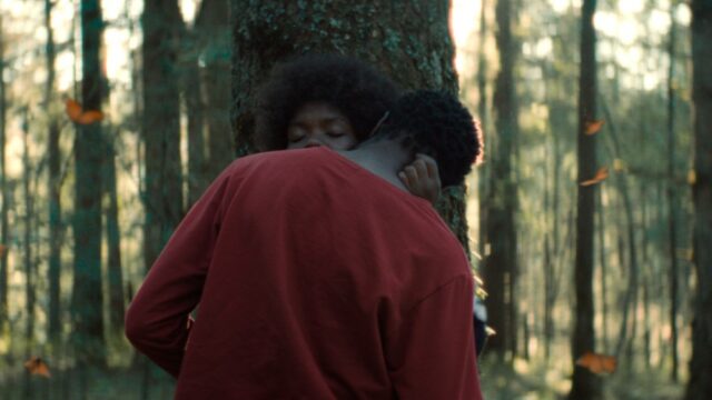 Título do panorama de Berlim de Joaquín del Paso, 'The Garden We Dreamed', lançado pela M-Appeal para vendas mundiais (EXCLUSIVO) 
