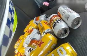 ‘Tive um casal’: uma dúzia de latas de cerveja vazias no carro de um suposto motorista bêbado O policial encontrou mais de uma dúzia de latas vazias de cerveja embaixo do banco do motorista do Suzuki vermelho.