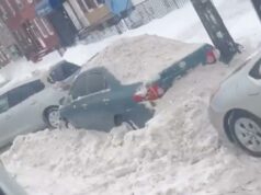 Trabalhador risonho da Filadélfia ‘intencionalmente’ joga neve em carros estacionados após Winter Storm Fern em vídeo viral: ‘Feliz dia de neve, filhos da puta’ Trabalhador risonho da Filadélfia 'intencionalmente' joga neve em carros estacionados após Winter Storm Fern em vídeo viral: 'Feliz dia de neve, filhos da puta'