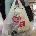 Tribunal de apelação decide a favor da listagem de plástico tóxico de Ottawa