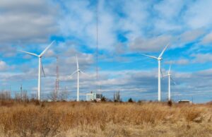 Tribunal diz que Trump bloqueou ilegalmente concessões de energia limpa para estados democratas Tribunal diz que Trump bloqueou ilegalmente concessões de energia limpa para estados democratas