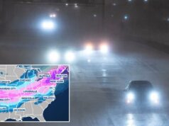 Trump diz que a FEMA está “totalmente preparada” para a tempestade de inverno Fern, já que mais de 9.000 voos foram cancelados Trump diz que a FEMA está “totalmente preparada” para a tempestade de inverno Fern, já que mais de 9.000 voos foram cancelados