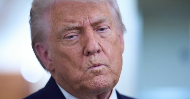 Presidente dos EUA, Donald Trump 