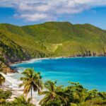 Um tubarão atacou e matou uma mulher americana ao longo de uma praia em St Croix, nas Ilhas Virgens dos EUA, disseram autoridades na sexta-feira.