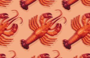 Tudo o que você precisa saber sobre o assistente pessoal viral de IA Clawdbot (agora Moltbot) lobsters