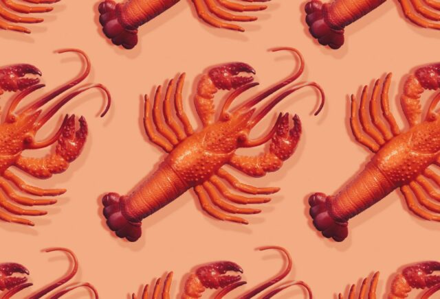 Tudo o que você precisa saber sobre o assistente pessoal lobsters