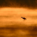Turistas aproveitam passeios de barco no Lago Loktak enquanto a normalidade retorna em Manipur