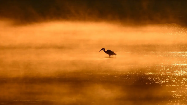 Turistas aproveitam passeios de barco no Lago Loktak enquanto a Turistas aproveitam passeios de barco no Lago Loktak enquanto a normalidade retorna em Manipur