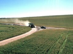 Um passeio no parque para conhecer esta propriedade agrícola bem administrada em Warradarge Um passeio no parque para conhecer esta propriedade agrícola bem administrada em Warradarge