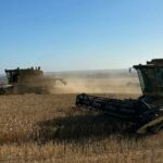 Uma colheitadeira TR97 fiável da New Holland acaba de concluir a sua colheita final