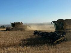 Uma colheitadeira TR97 fiável da New Holland acaba de concluir a sua colheita final Uma colheitadeira TR97 fiável da New Holland acaba de concluir a sua colheita final