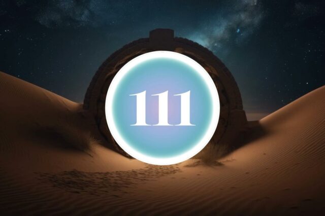 Veja por que o portal 1/11 é melhor para manifestação e resoluções
